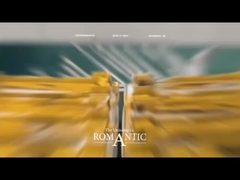 Caixas de Sushi descartáveis com tampa OPS