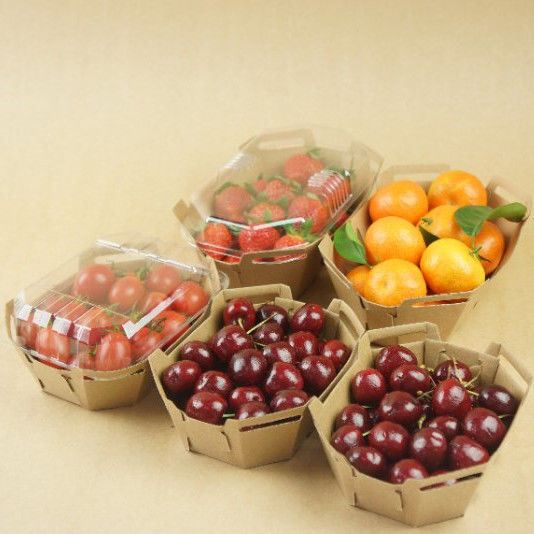 Tampa reciclável do ANIMAL DE ESTIMAÇÃO de Tray With do fruto do papel de embalagem de 350gsm