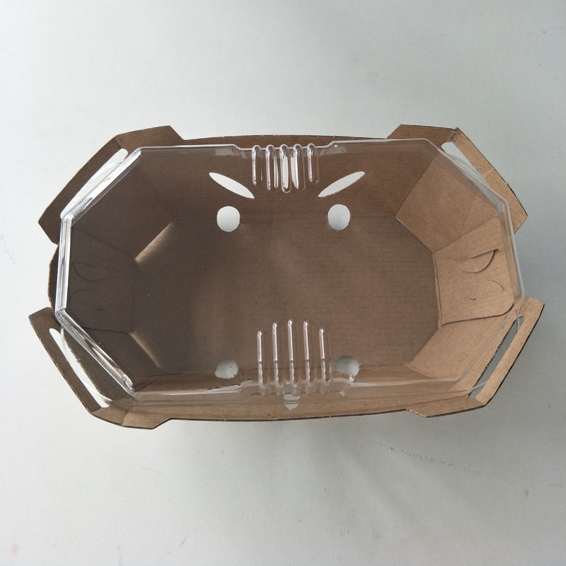 Tampa reciclável do ANIMAL DE ESTIMAÇÃO de Tray With do fruto do papel de embalagem de 350gsm