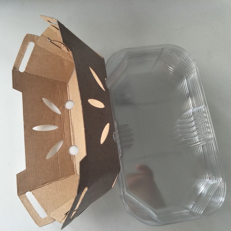 Tampa reciclável do ANIMAL DE ESTIMAÇÃO de Tray With do fruto do papel de embalagem de 350gsm