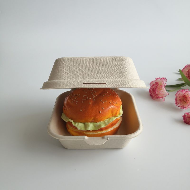 5 polegadas caixa descartável do hamburguer da cana-de-açúcar biodegradável de 6 polegadas