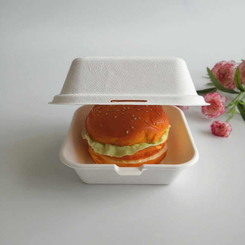 5 polegadas caixa descartável do hamburguer da cana-de-açúcar biodegradável de 6 polegadas