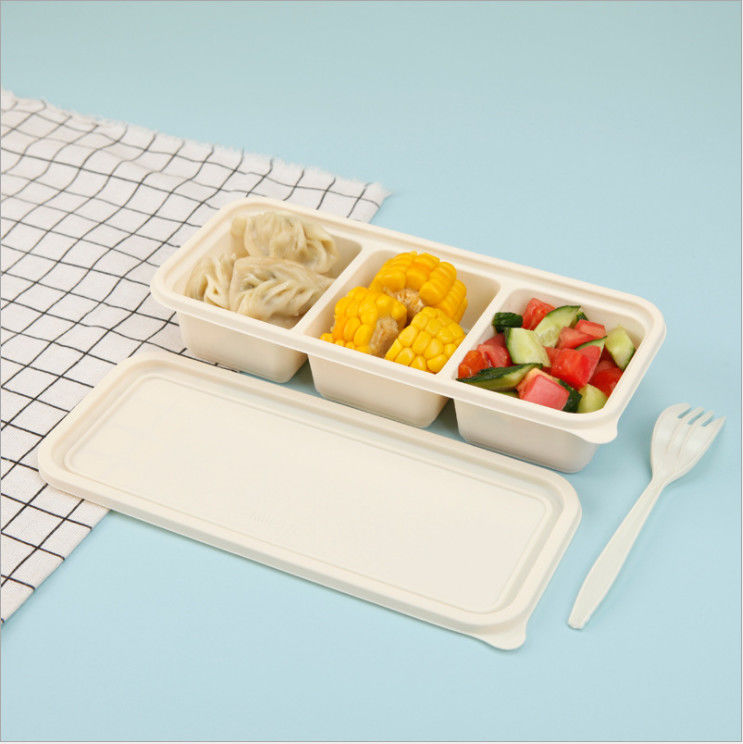 Fécula de milho Bento Box descartável afastado Degradable