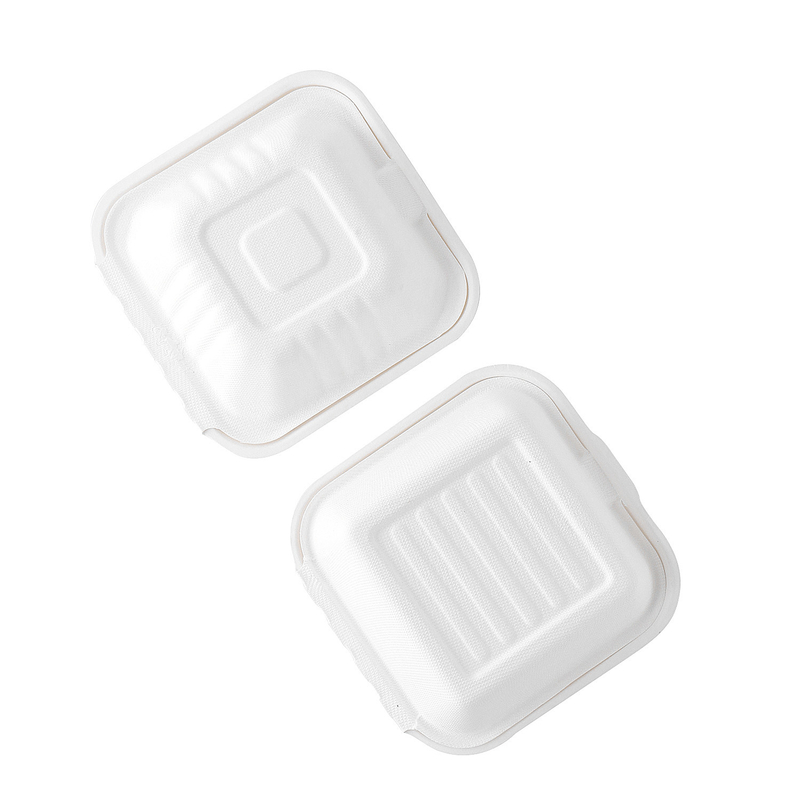 Recicle tomam para ir bagaço da cana-de-açúcar biodegradável levam embora a caixa descartável