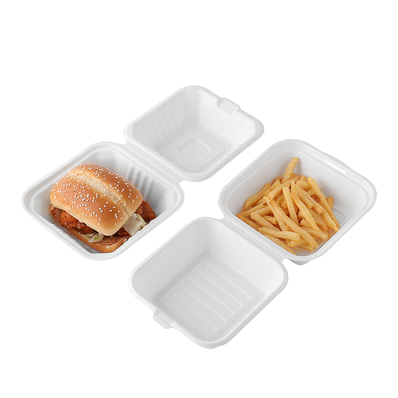Recicle tomam para ir bagaço da cana-de-açúcar biodegradável levam embora a caixa descartável