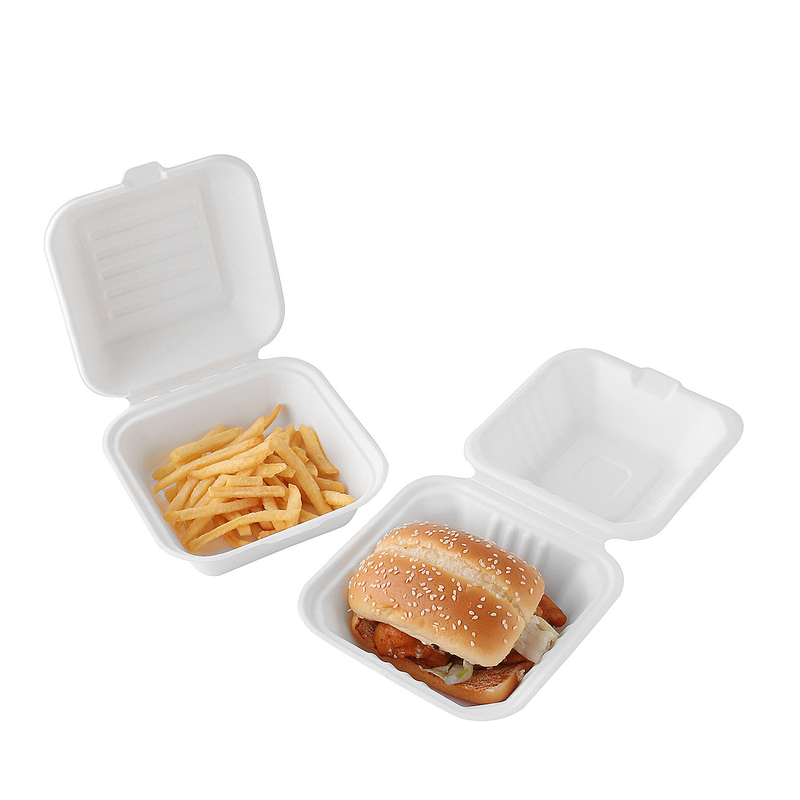Recicle tomam para ir bagaço da cana-de-açúcar biodegradável levam embora a caixa descartável