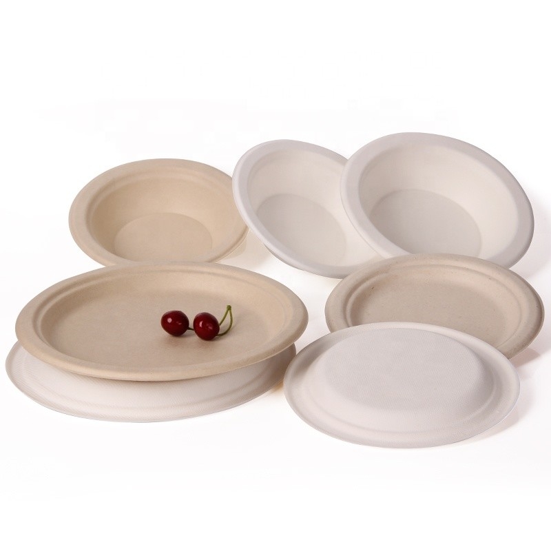 Lancheiras Eco biodegradável do empacotamento de alimento do bagaço da cana-de-açúcar amigável